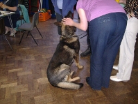 Jed, enjoying the attention